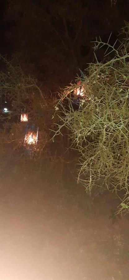 فندق Little Amanya Camp أمبوسيلي المظهر الخارجي الصورة